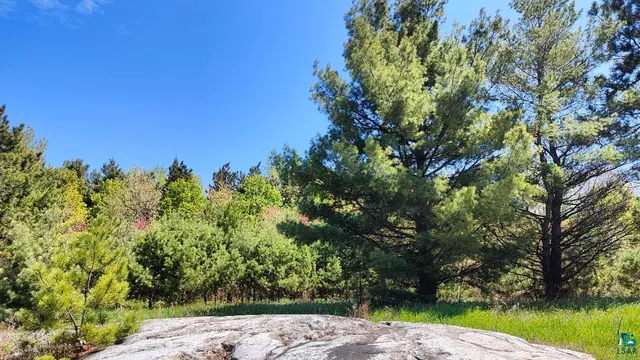 $79,500 | 80036 Sweet Fern Loop, Tower, MN 55790