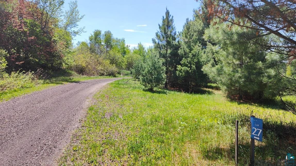 80036 Sweet Fern Loop Tower, MN 55790 - Photo 2 of 46 View of road