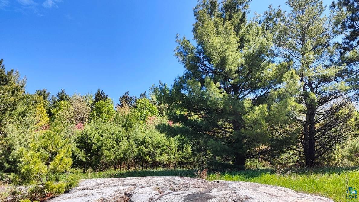 80036 Sweet Fern Loop Tower, MN 55790 - Photo 5 of 46 View of landscape