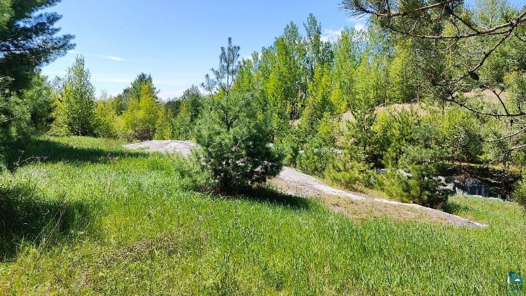 80036 Sweet Fern Loop Tower, MN 55790 - Photo 6 of 46 View of landscape