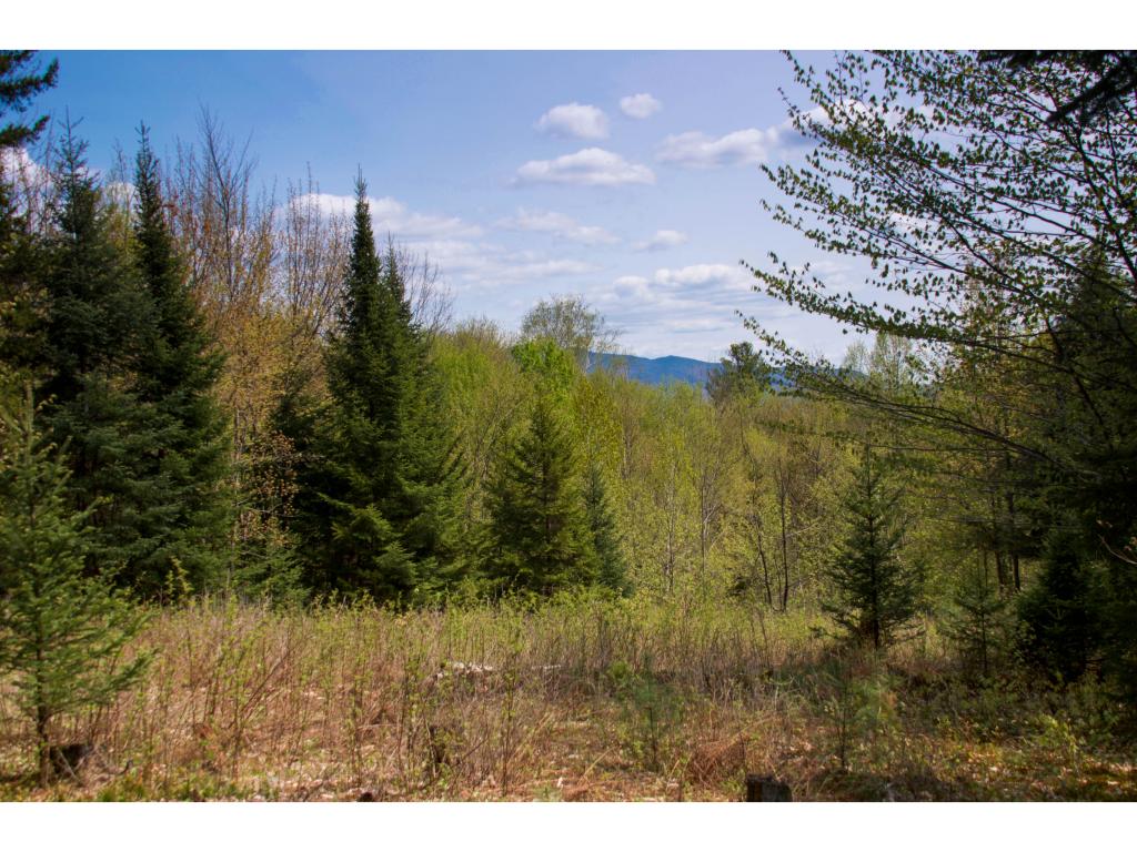 0 Sanborn Road Stowe, VT 05672 - Photo 3 of 12 Gallery Image 3