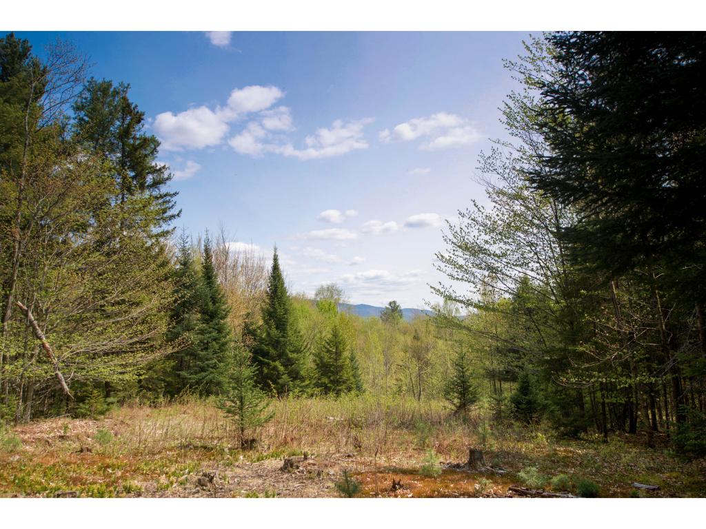0 Sanborn Road Stowe, VT 05672 - Photo 4 of 12 Gallery Image 4