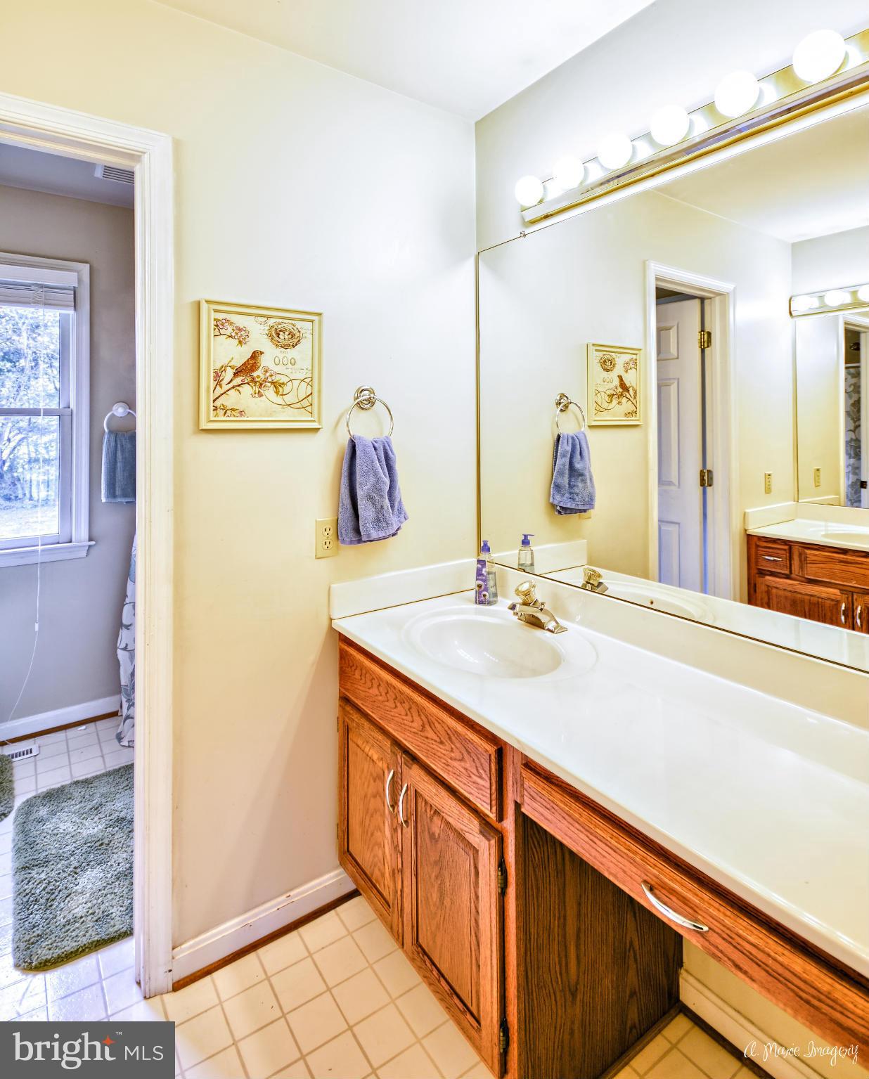 8053 Old Hagerstown Road Middletown, MD 21769 - Photo 29 of 30 Hall bath