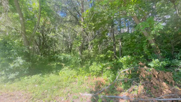 $35,000 | Tbd Old Cave Springs Road, Marshall, TX 75670