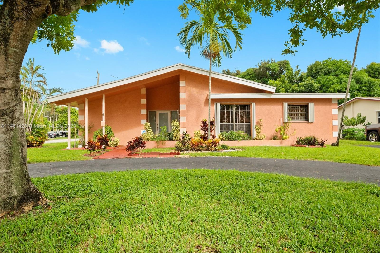 a view of a backyard with plants and a garden