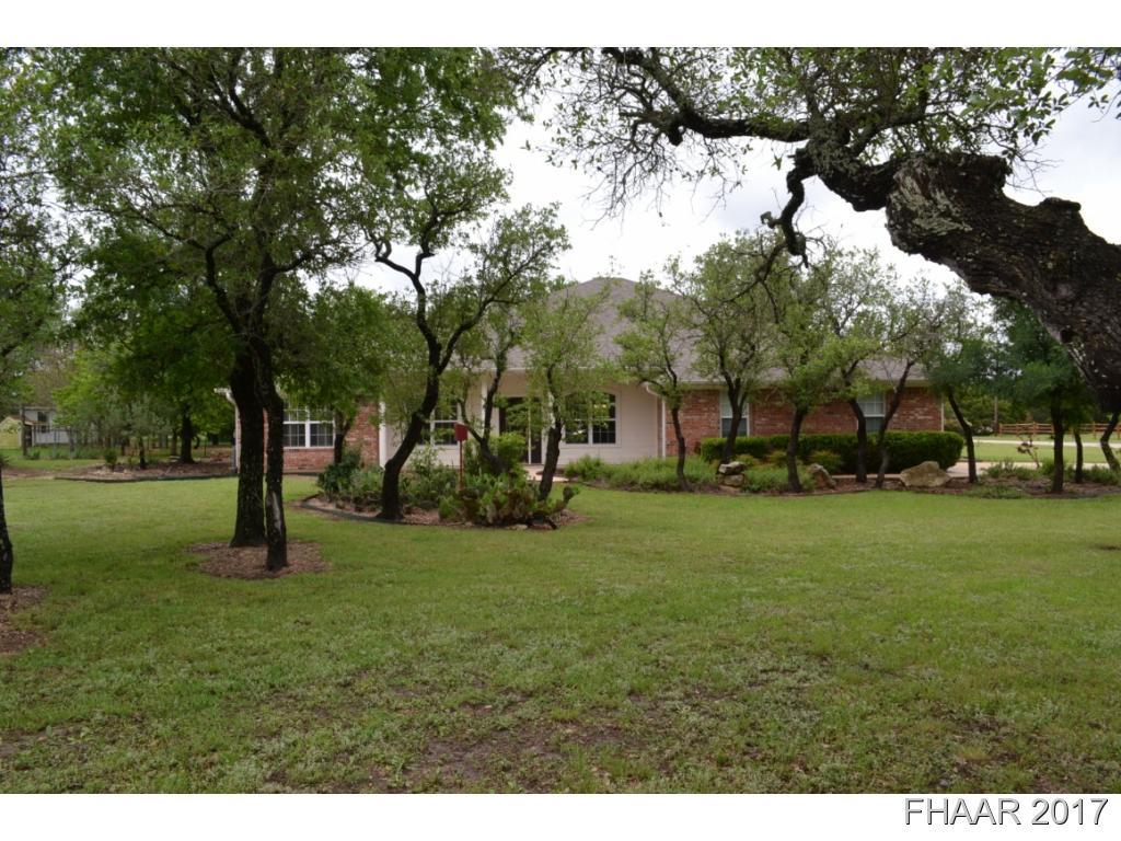 a view of a park with large trees