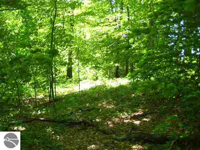 3100 Warren Road, Unit LOT: A Beulah, MI 49617 - Photo 15 of 43