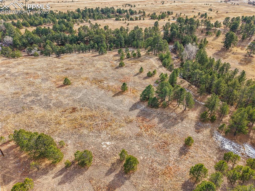 12095 Grandin Point Elbert, CO 80106 - Photo 13 of 19 a view of a yard with a tree