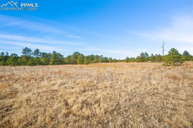 a view of backyard with outdoor space