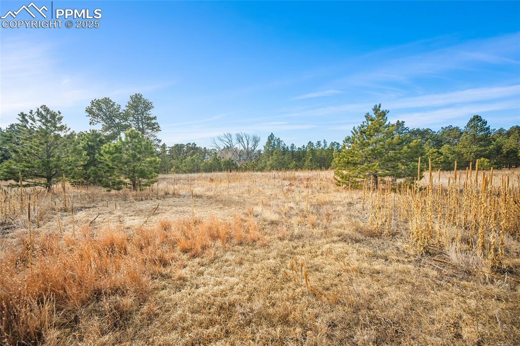 12095 Grandin Point Elbert, CO 80106 - Photo 18 of 19 a view of lake view and mountain view