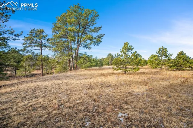 $325,000 | 12095 Grandin Point, Elbert, CO 80106