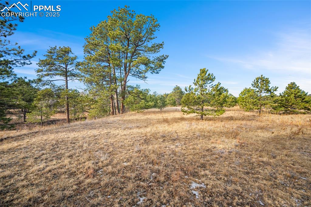 12095 Grandin Point Elbert, CO 80106 - Photo 19 of 19 a view of backyard with outdoor space