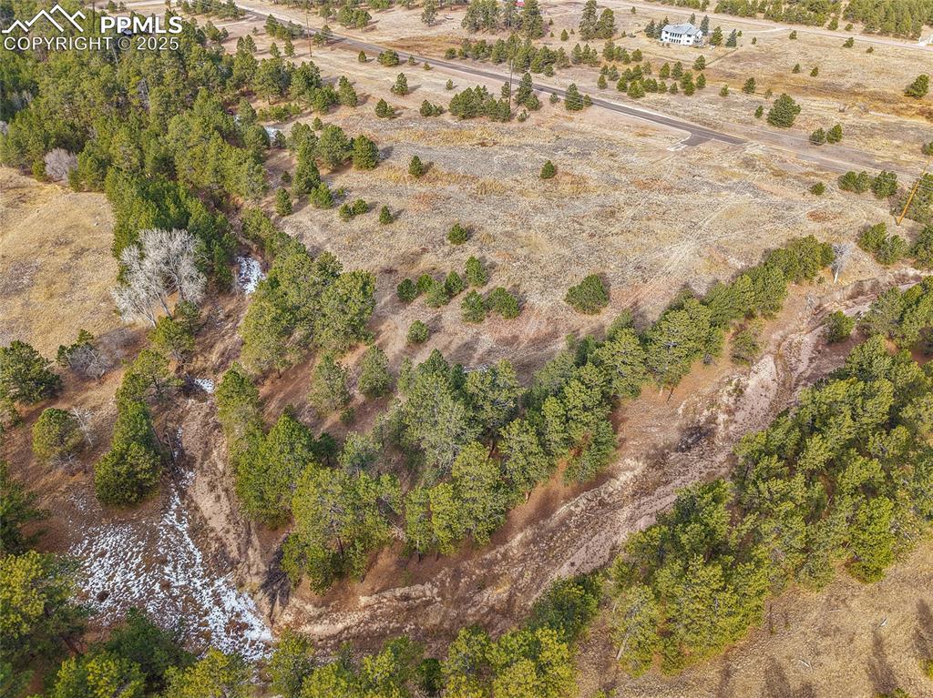 12095 Grandin Point Elbert, CO 80106 - Photo 5 of 19