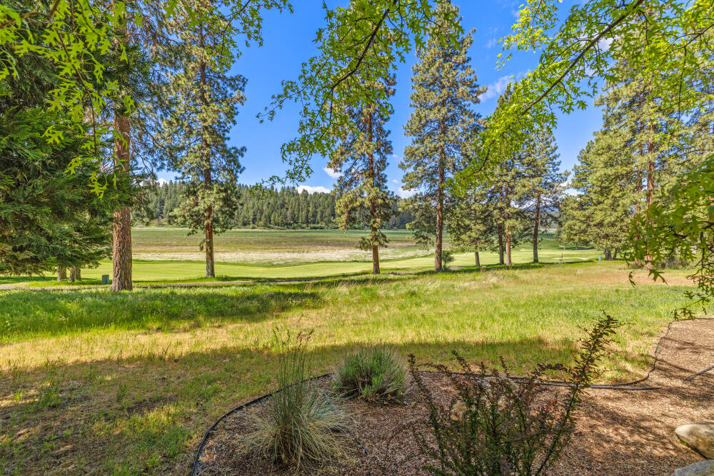 11756 Merganser Road Klamath Falls, OR 97601 - Photo 5 of 73 a view of yard with trees