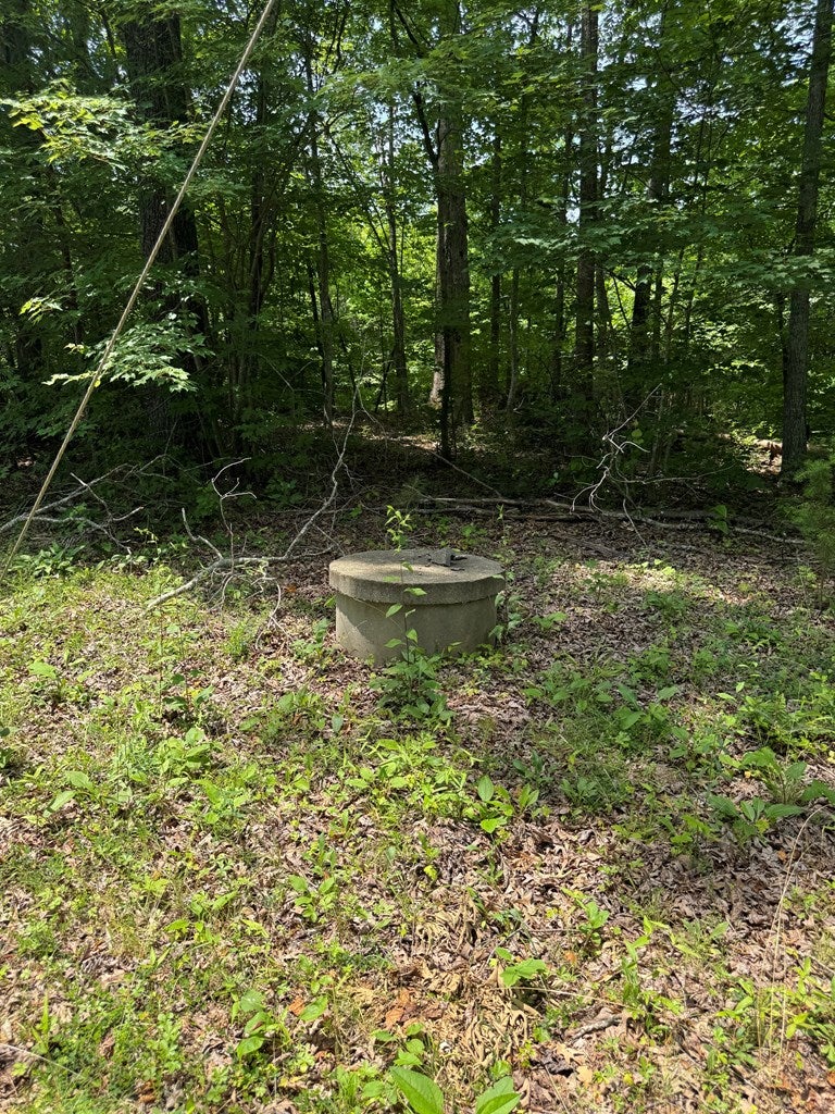 2030 Douglas Church Road Farmville, VA 23901 - Photo 11 of 14 Gallery Image 11
