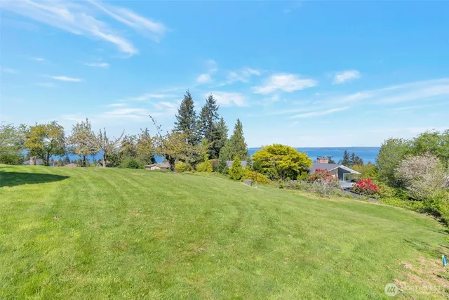 a view of a field with plants and trees