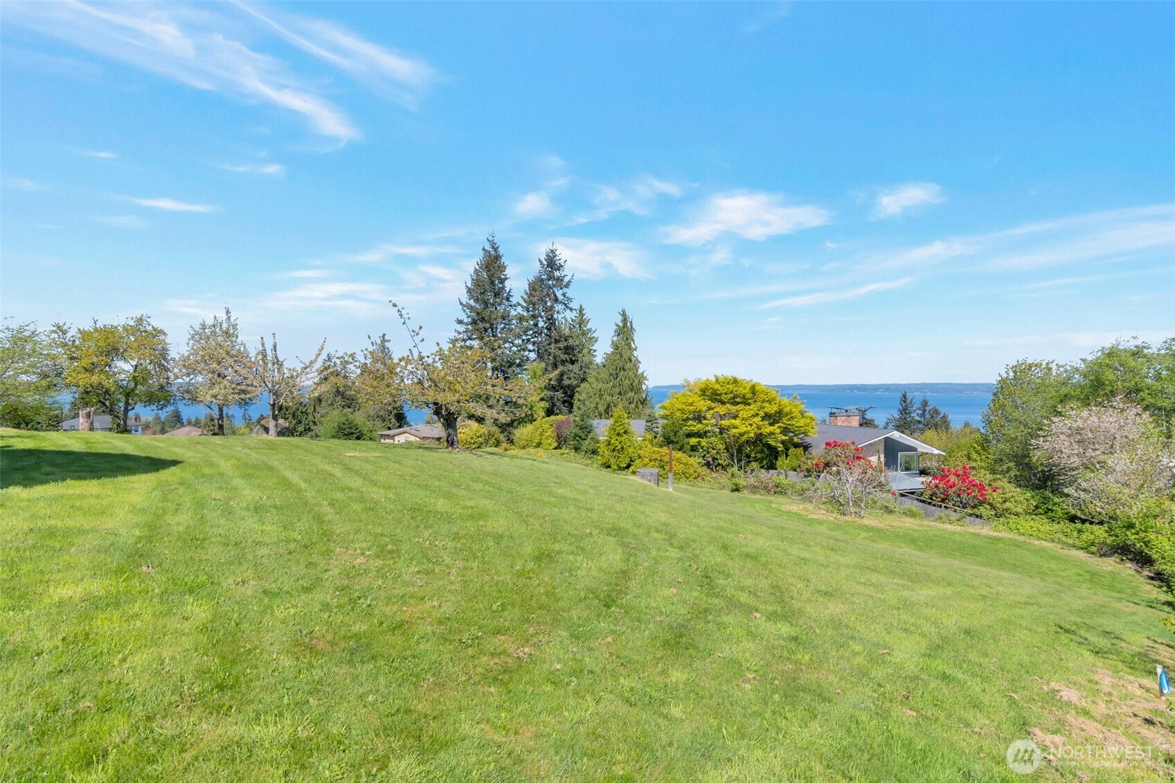 19-xx 49th Place Southwest Everett, WA 98203 - Photo 6 of 7 a view of a field with plants and trees