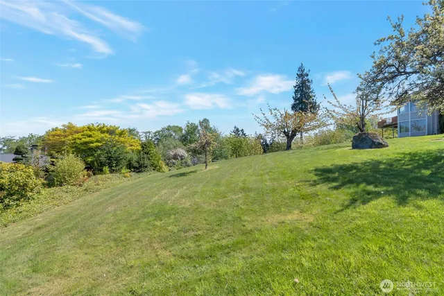 a view of a big yard with plants and large trees