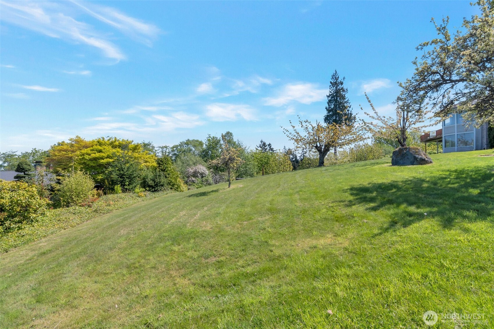 19-xx 49th Place Southwest Everett, WA 98203 - Photo 7 of 7 a view of a big yard with plants and large trees