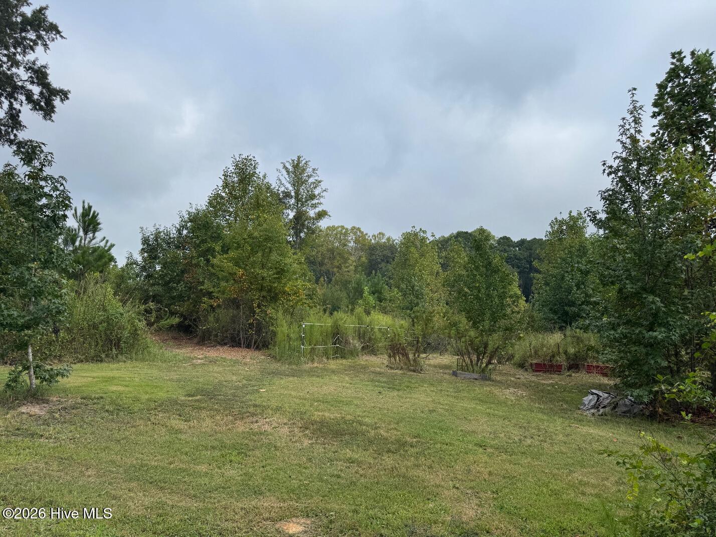 1595 Green Road Spring Hope, NC 27882 - Photo 44 of 52 Gallery Image 44