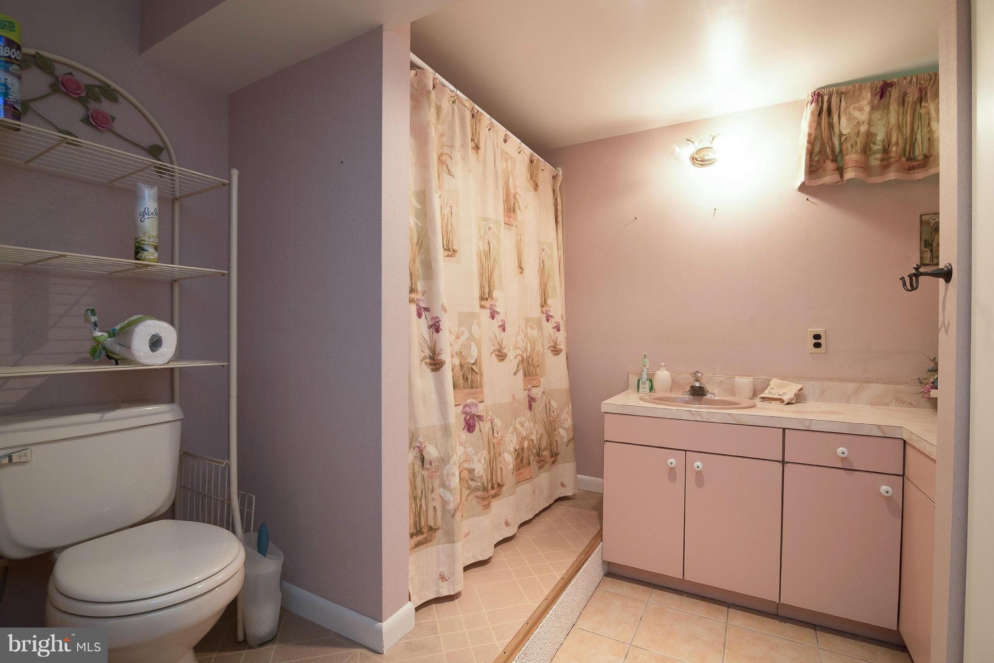 4132 Rinehart Road Westminster, MD 21158 - Photo 19 of 27 Bath