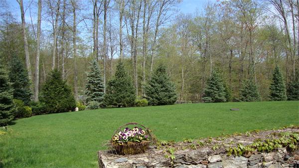 22 Pelham Road Weston, MA 02493 - Photo 23 of 25 Gallery Image 23