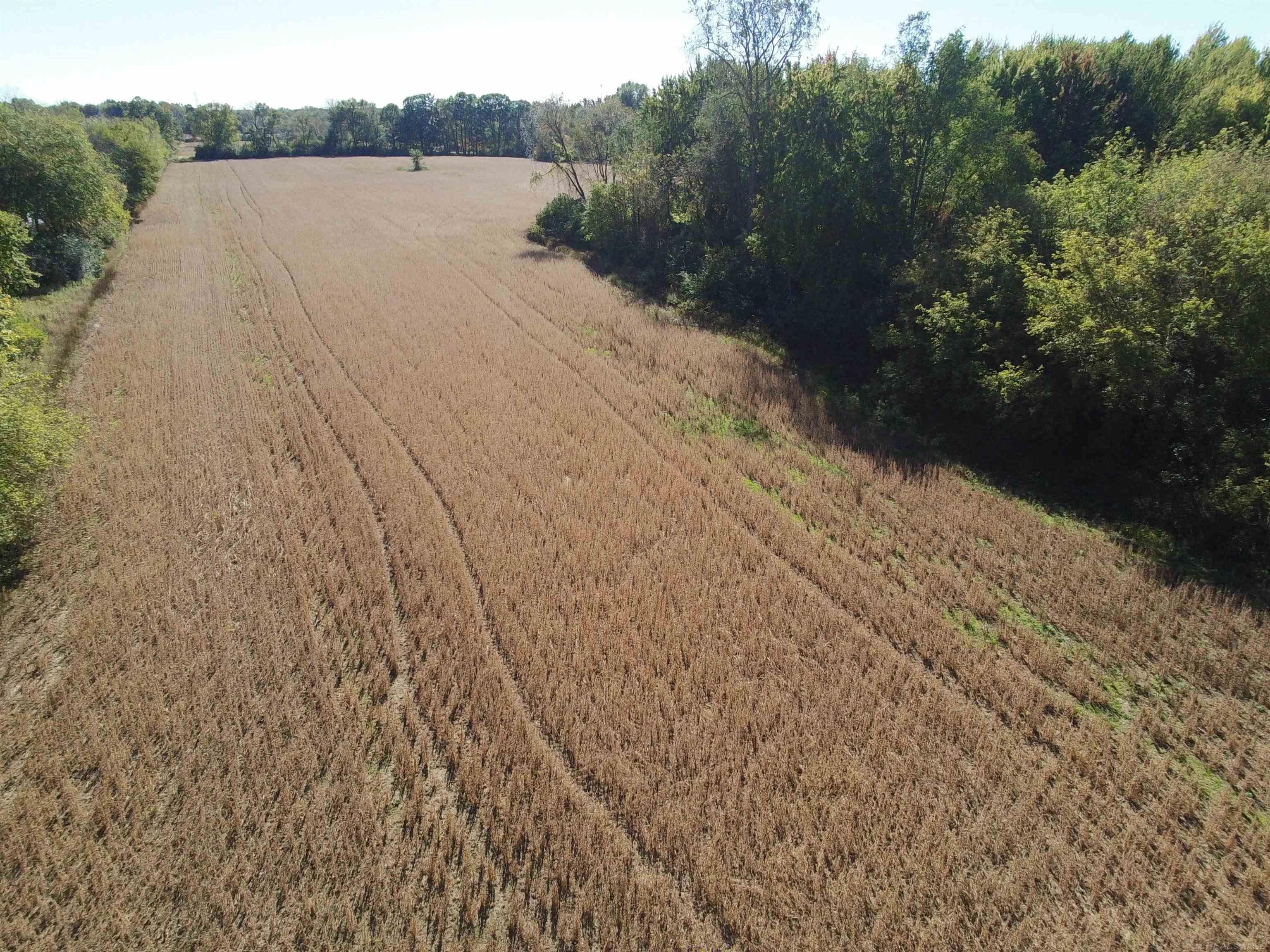 73213 Coon Creek Road Armada, MI 48005 - Photo 4 of 11