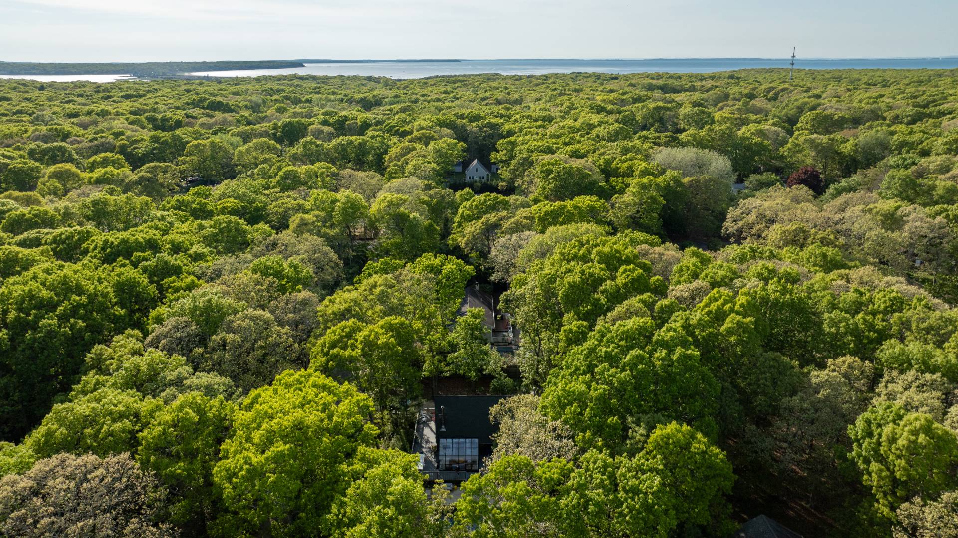 62 Broadway East Hampton, NY 11937 - Photo 19 of 20 a view of a bunch of a green field