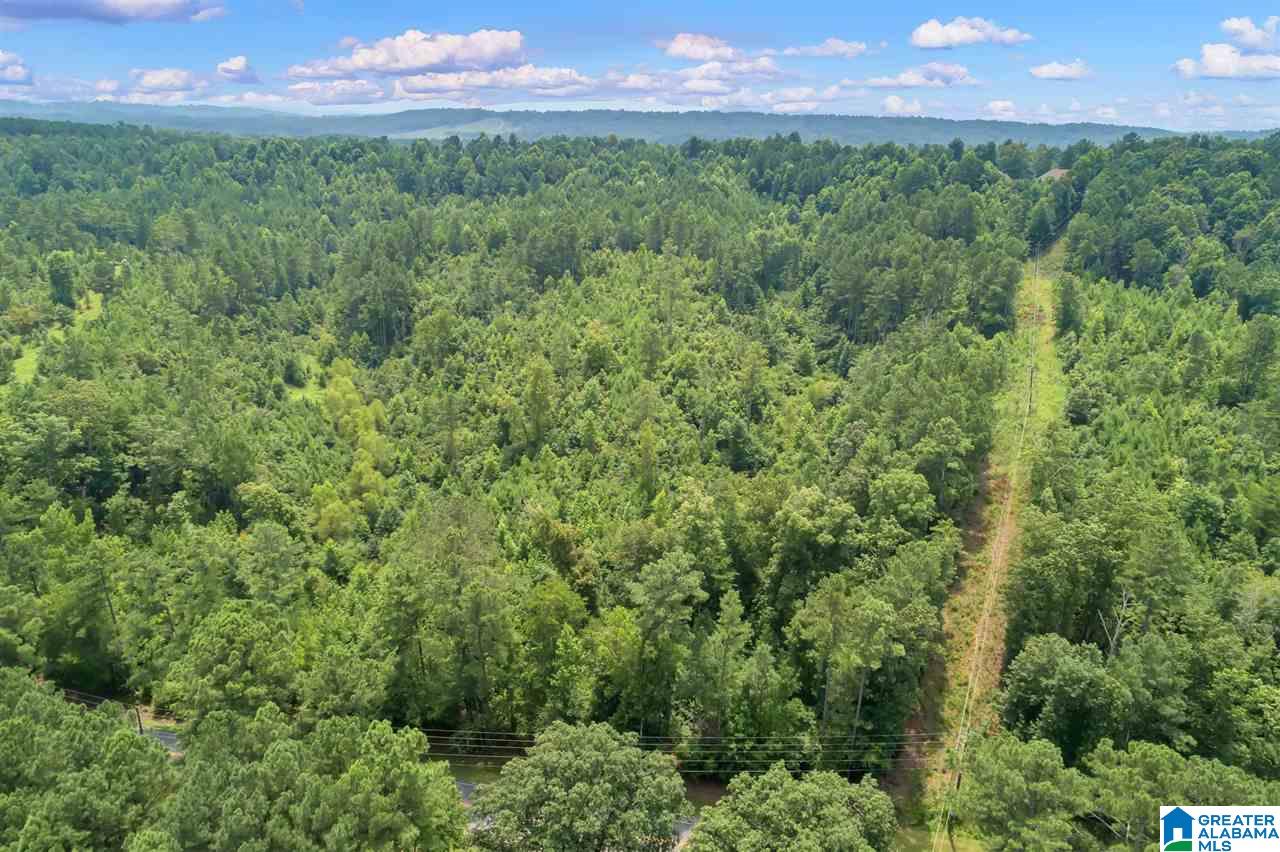 4472 Mountain View Road Odenville, AL 35120 - Photo 7 of 9