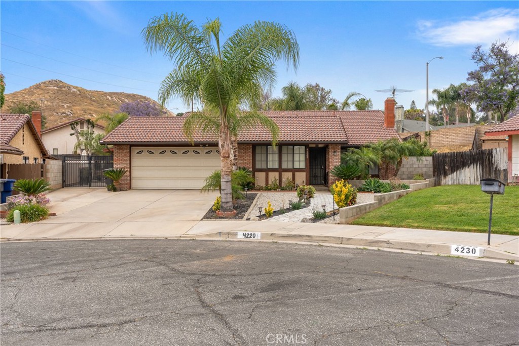 4220 Ilex Court Riverside, CA 92503 - Photo 1 of 1 a view of a house with a yard and palm trees