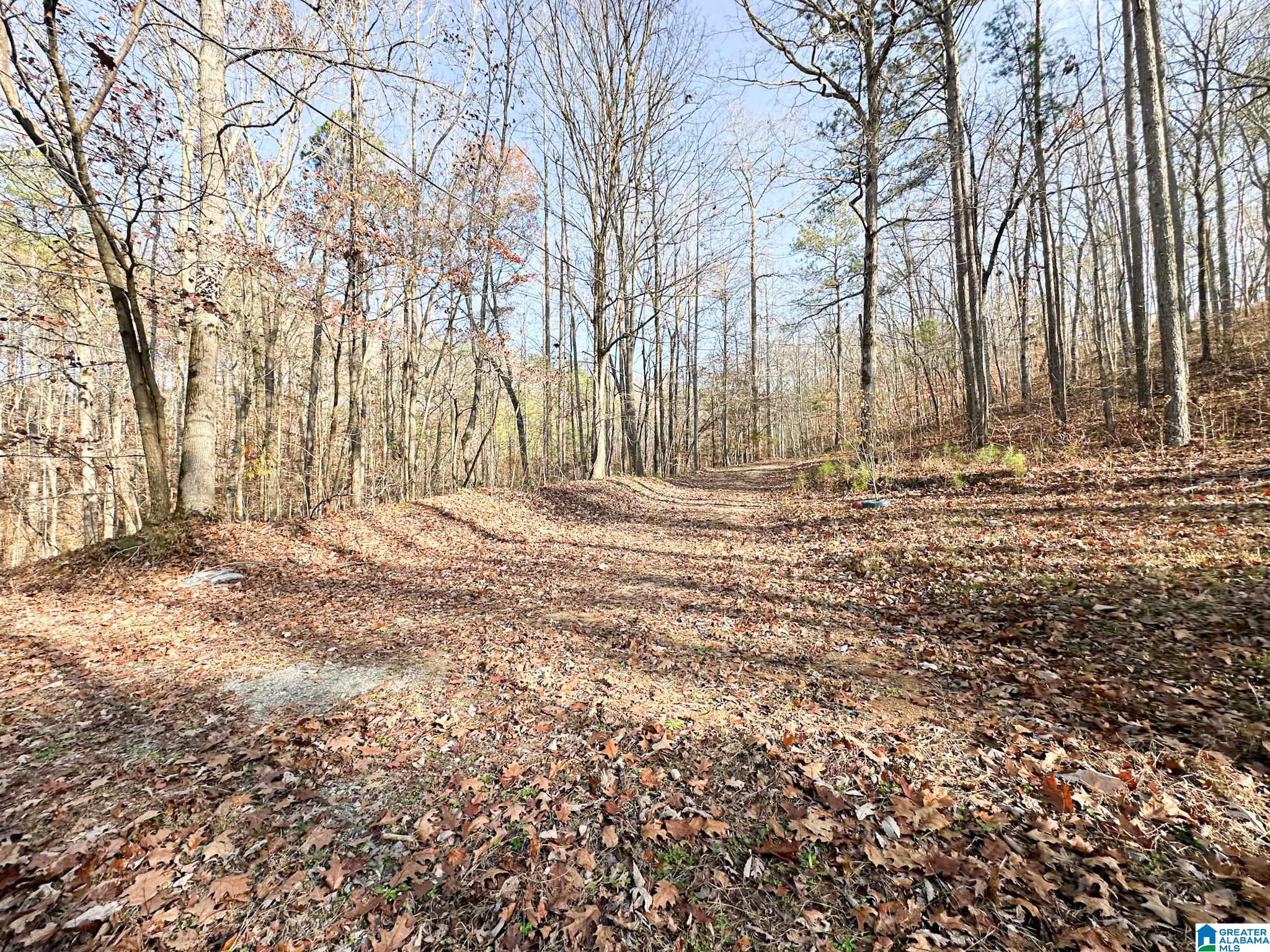 5325 Union T Road Talladega, AL 35160 - Photo 28 of 83