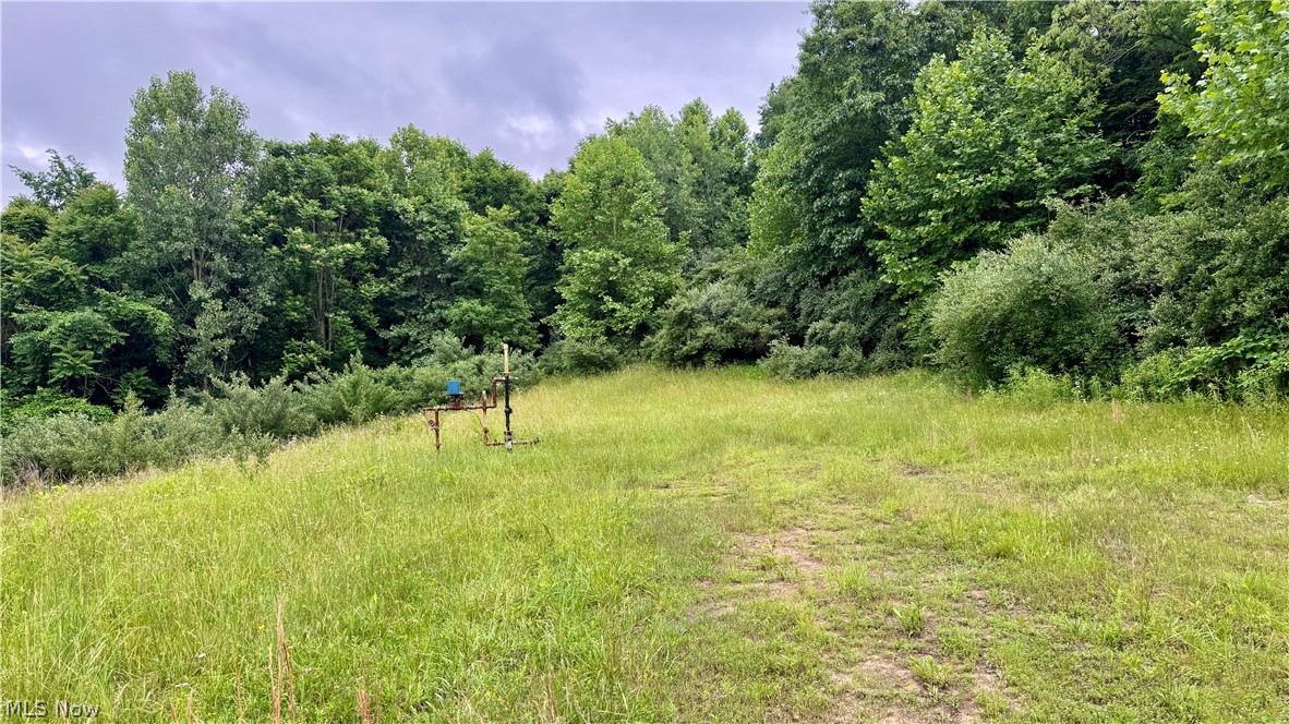 Marlott Run Road Kimbolton, OH 43749 - Photo 18 of 49