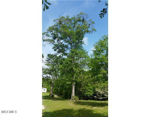 24585 Billy Road Saucier, MS 39574 - Photo 6 of 6 Beautiful Trees