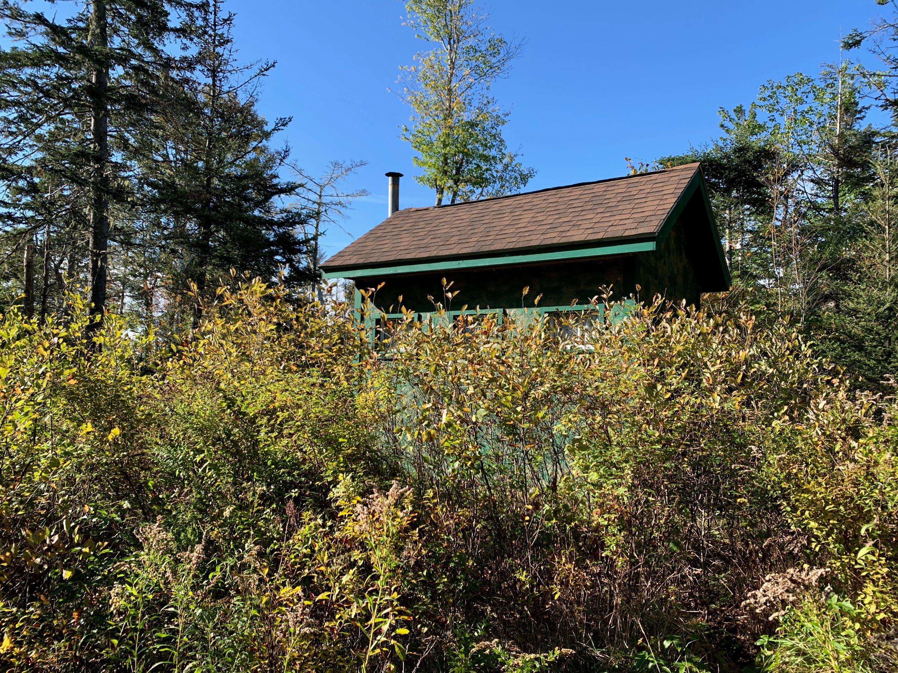 Lot 14 Off Steam Mill Road Robbinston, ME 04671 - Photo 23 of 67 IMG_2941