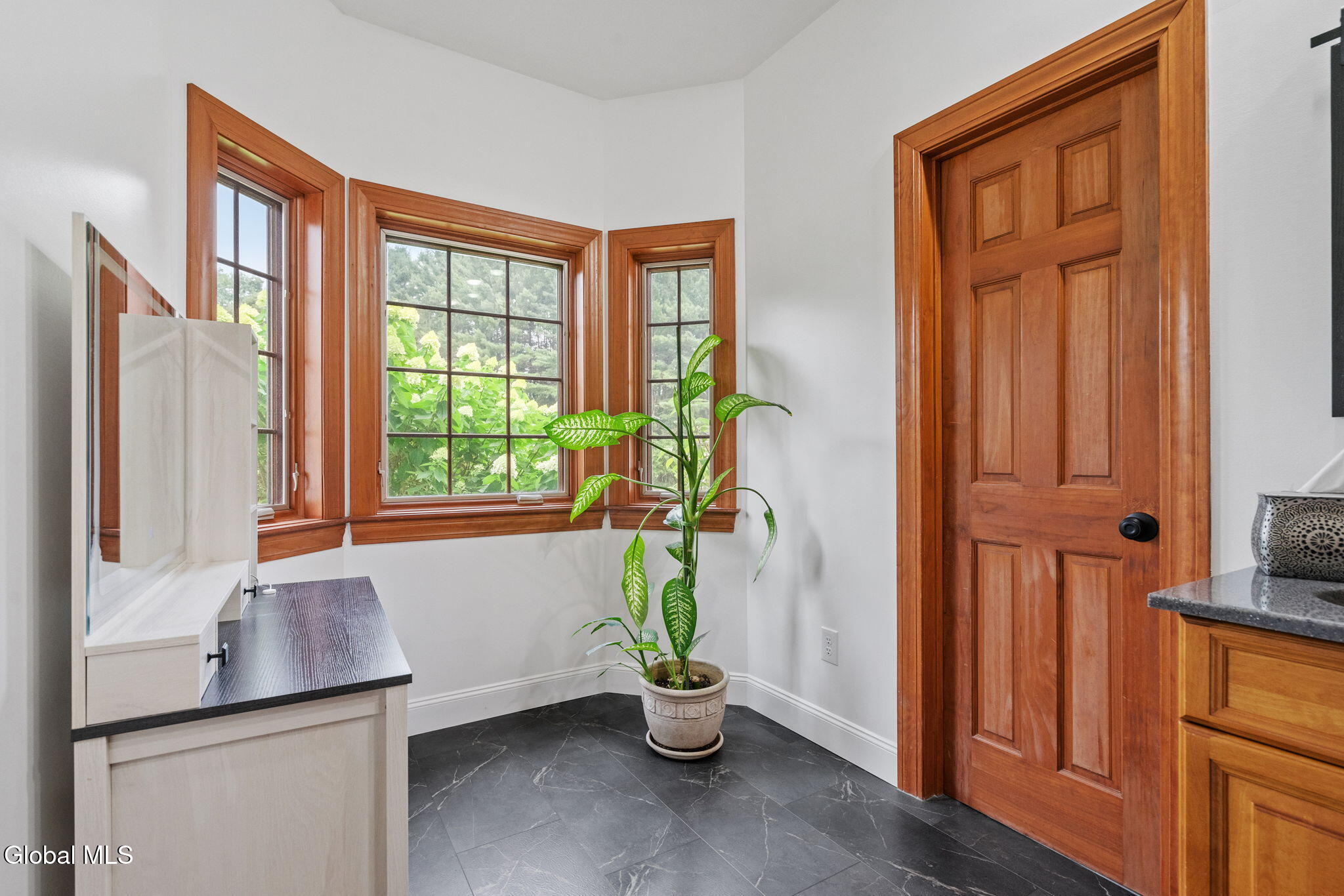 737 Muitzeskill Road Schodack, NY 12156 - Photo 30 of 93 116-web-or-mls-737-muitzeskill-rd