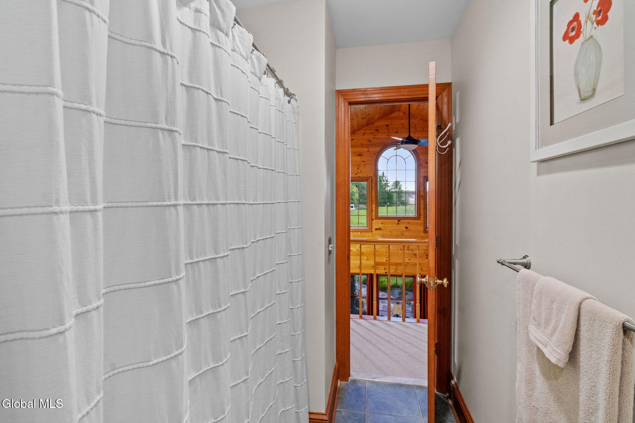 737 Muitzeskill Road Schodack, NY 12156 - Photo 41 of 93 56-web-or-mls-737-muitzeskill-rd