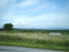 0 Route 22 Road Shoreham, VT 05770 - Photo 9 of 9