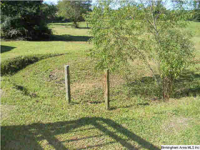 622 County Road 503 Verbena, AL 36091 - Photo 4 of 20