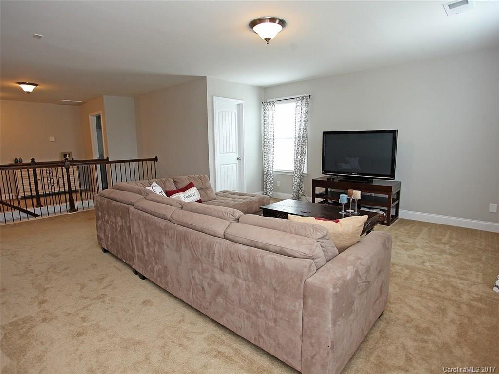 707 Fresia Drive Tega Cay, SC 29708 - Photo 15 of 24 Gallery Image 15