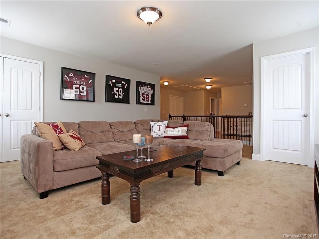 707 Fresia Drive Tega Cay, SC 29708 - Photo 16 of 24 Gallery Image 16