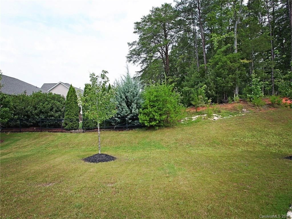 707 Fresia Drive Tega Cay, SC 29708 - Photo 24 of 24 Gallery Image 24