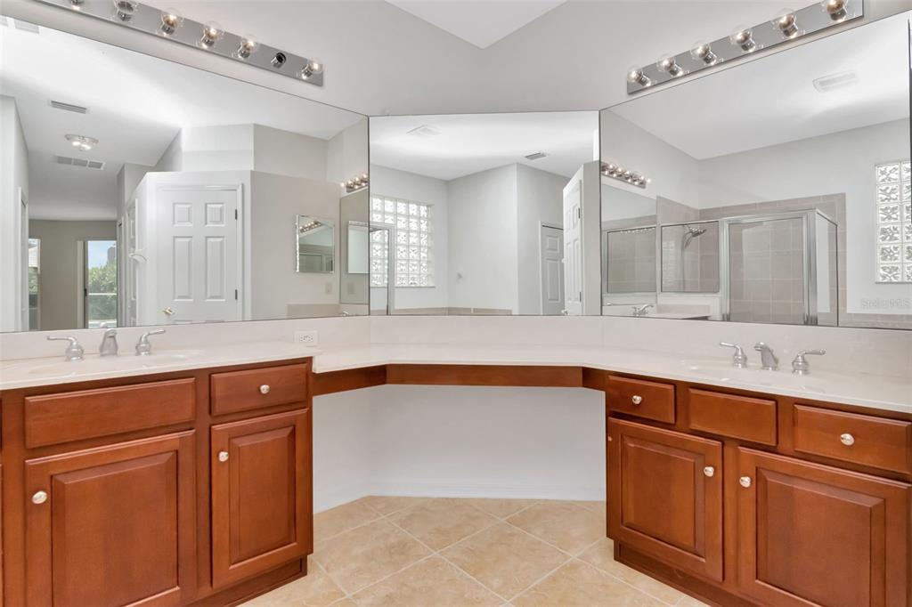 1927 Alecost Court Trinity, FL 34655 - Photo 18 of 44 a bathroom with a granite countertop sink and a large mirror