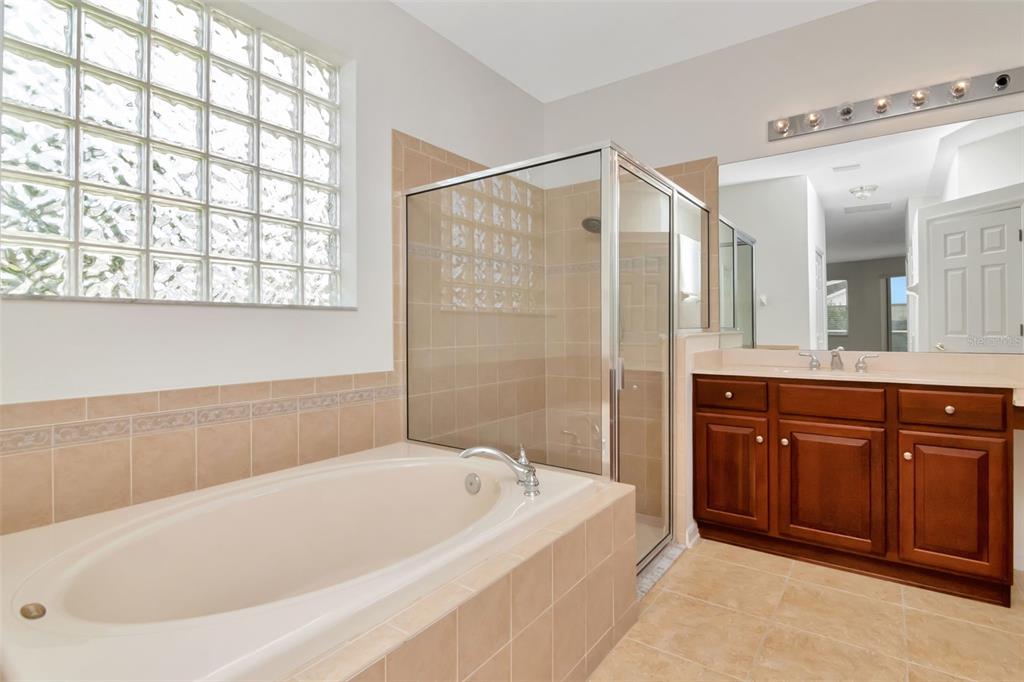 1927 Alecost Court Trinity, FL 34655 - Photo 20 of 44 a bathroom with a bathtub and a sink
