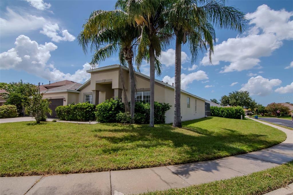 1927 Alecost Court Trinity, FL 34655 - Photo 2 of 44 a front view of house with yard and green space