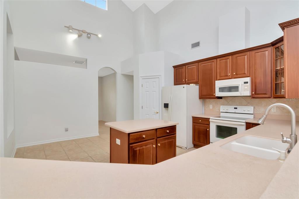 1927 Alecost Court Trinity, FL 34655 - Photo 38 of 44 a kitchen with a stove refrigerator sink and microwave