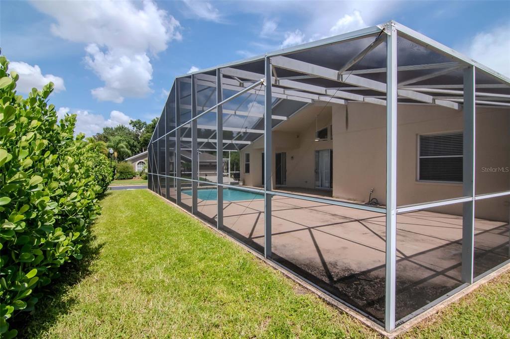 1927 Alecost Court Trinity, FL 34655 - Photo 5 of 44 a view of swimming pool