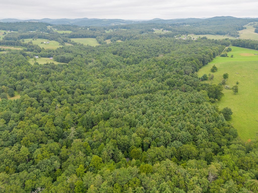 968 Coleman Ridge Road Galax, VA 24333 - Photo 61 of 75 Gallery Image 61