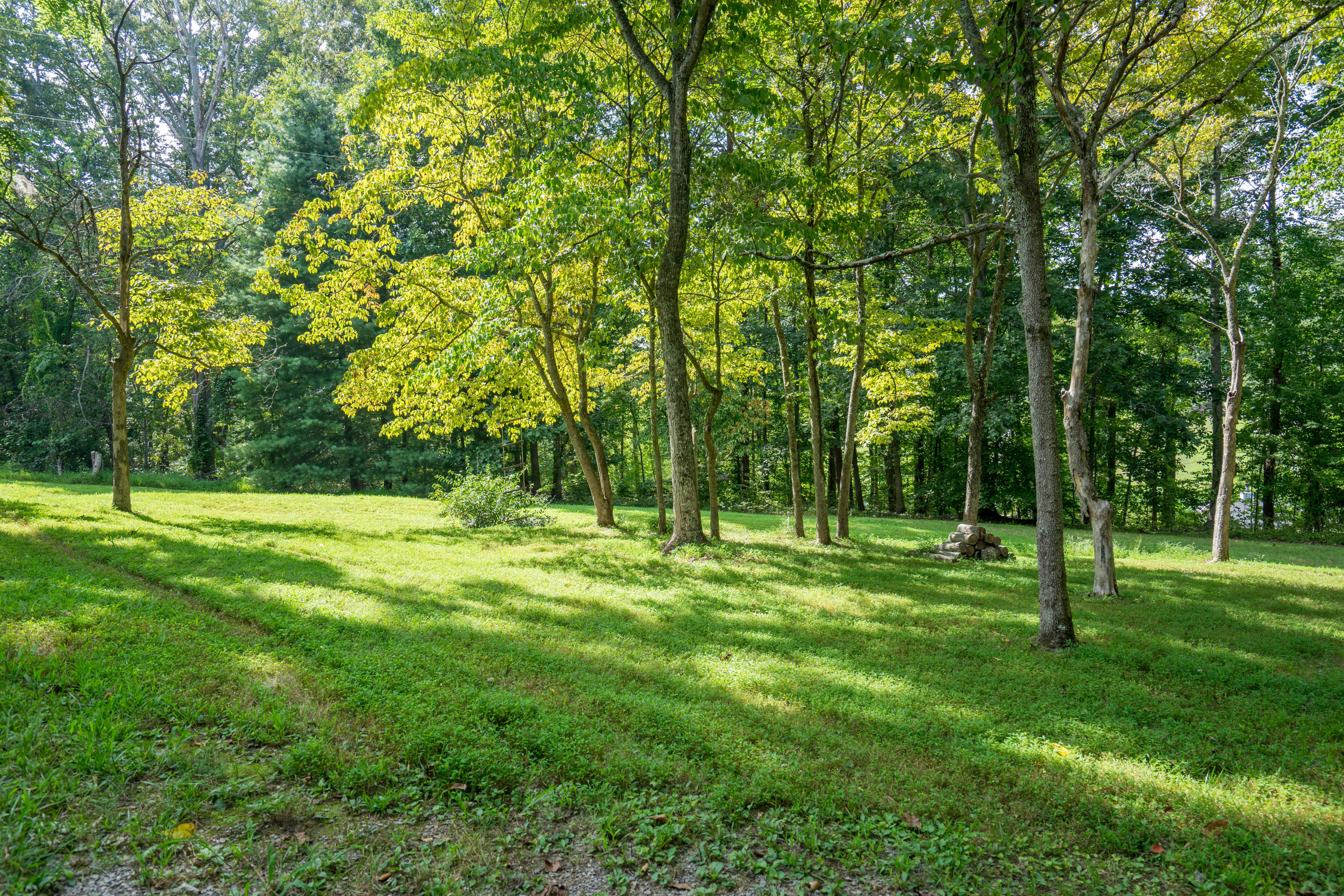 763 Big Ridge Park Road Maynardville, TN 37807 - Photo 22 of 29 DSC00134