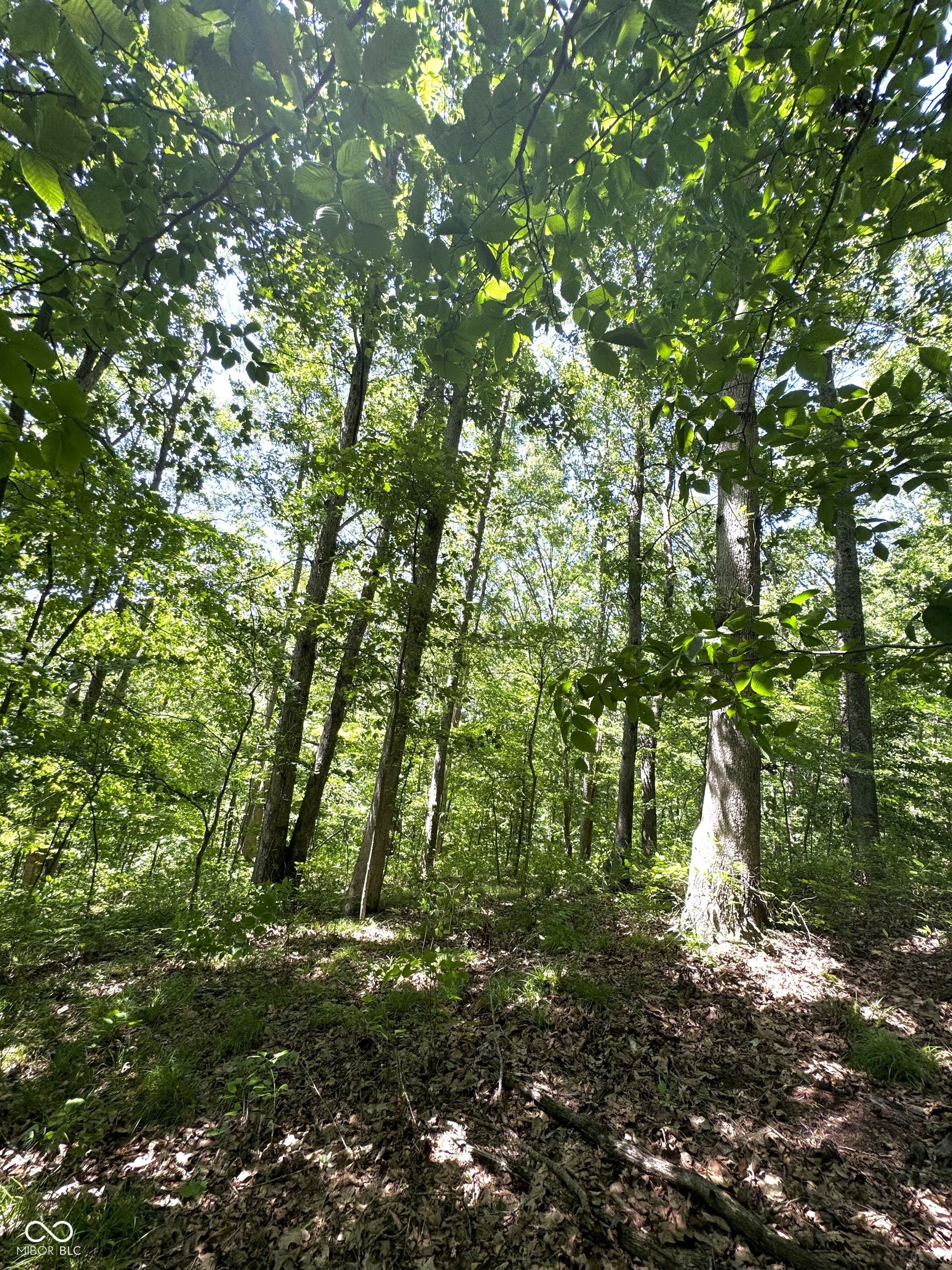 0 Camp Moneto Road Nashville, IN 47448 - Photo 5 of 8 Gallery Image 5