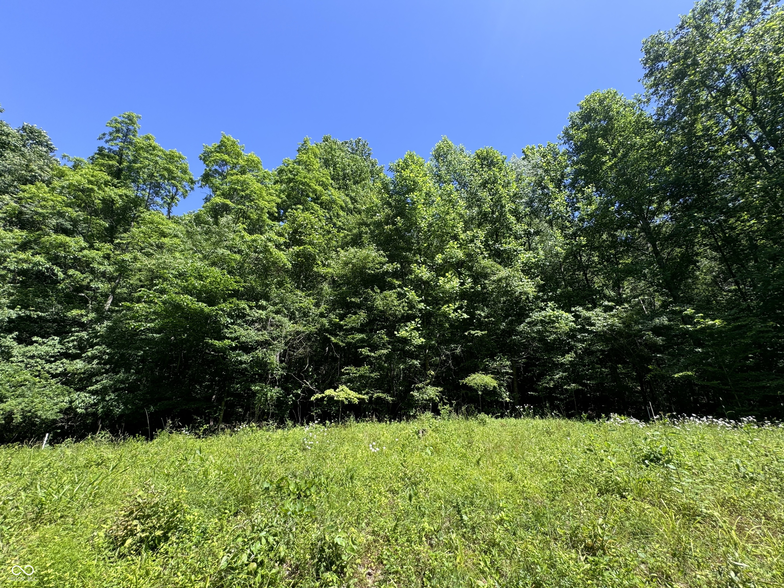 0 Camp Moneto Road Nashville, IN 47448 - Photo 6 of 8 Gallery Image 6